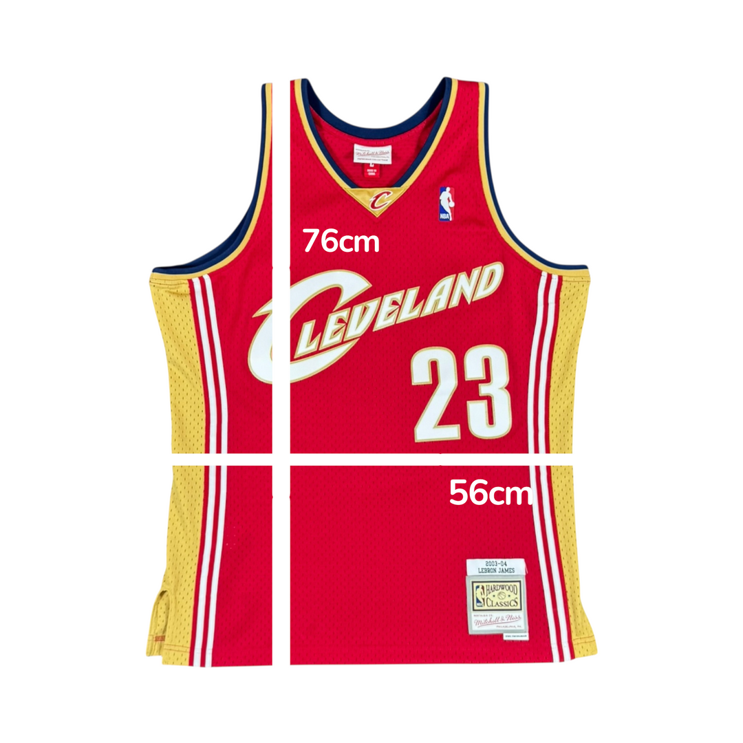 2003-04 Cleveland Cavaliers Hardwood Classic Basketball Jersey #23 JAMES - 10/10 - (L)