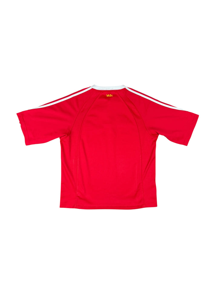 2005 British Irish Lions Adidas Rugby Shirt “New Zealand” - 8/10 - (L)