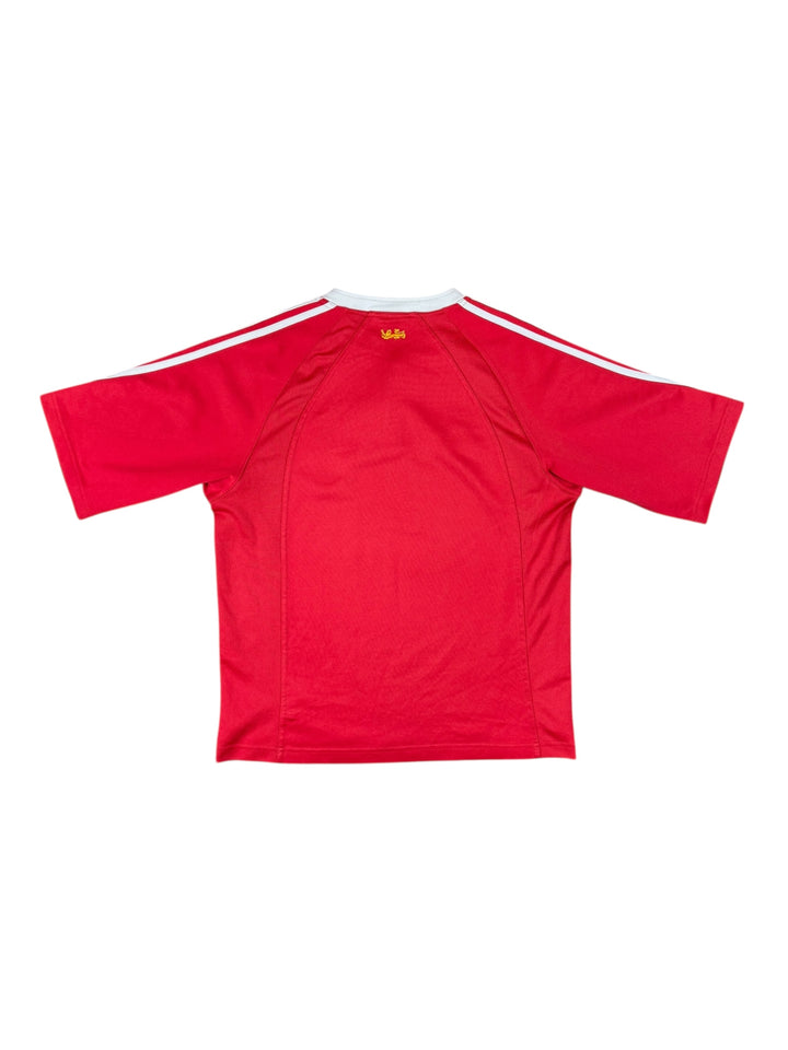 2005 British Irish Lions Adidas Rugby Shirt “New Zealand” - 8/10 - (M)