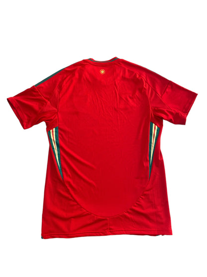 Wales 2023/24 Football Jersey Brand New Mens M